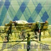 75 Lullabye Night of Peace