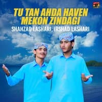 Tu Tan Ahda Haven Mekon Zindagi - Single