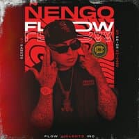 Mix Nengo Flow