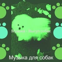 Музыка - Выгул собак