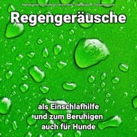 Regengeräusche als Einschlafhilfe und zum Beruhigen auch für Hunde