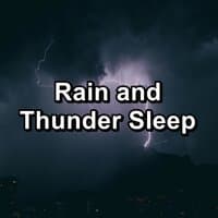 Rain and Thunder Sleep