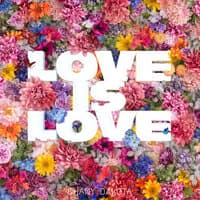 Love Is Love