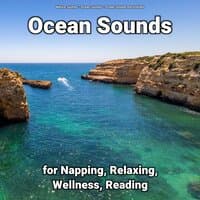 Ocean Sounds for Napping, Relaxing, Wellness, Reading