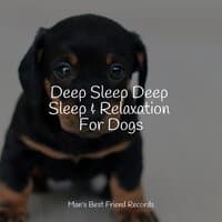 Sounds to Help Your Dogs Fall Asleep