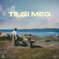 Tilgi meg