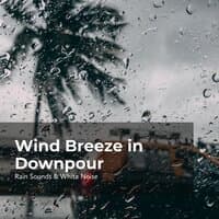 Wind Breeze in Downpour