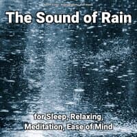 The Sound of Rain for Sleep, Relaxing, Meditation, Ease of Mind