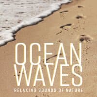 Ocean Waves: Relaxing Sounds of Nature