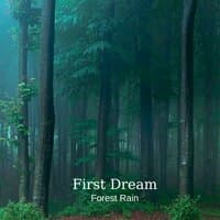 First Dream