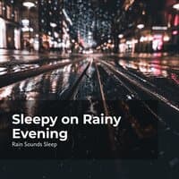 Sleepy on Rainy Evening