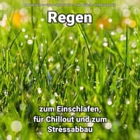 Regen zum Einschlafen, für Chillout und zum Stressabbau