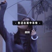 我还在雨中等你