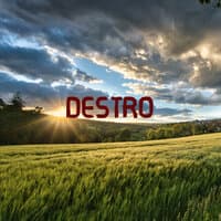 Destro