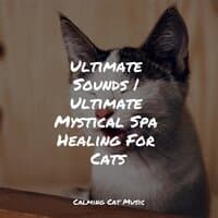 Ultimate Sounds | Ultimate Mystical Spa Healing For Cats