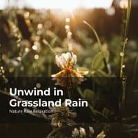 Unwind in Grassland Rain