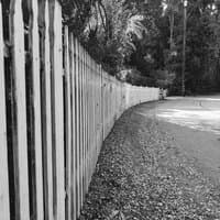 White Picket Fence