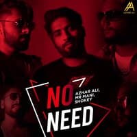 No Need - Single