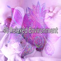 40 Relaxed Environment