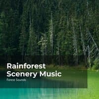 Rainforest Scenery Music