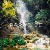 Paradise