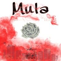 Mula