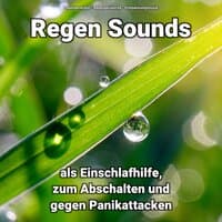 Regen Sounds als Einschlafhilfe, zum Abschalten und gegen Panikattacken