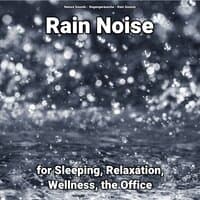 Rain Noise for Sleeping, Relaxation, Wellness, the Office