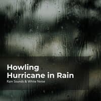 Howling Hurricane in Rain