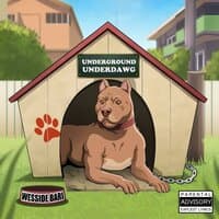 UnderGround UnderDawg