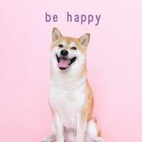 be happy