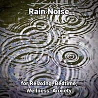 Rain Noise for Relaxing, Bedtime, Wellness, Anxiety