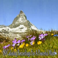 69 Calming Recordings For A Peaceful Mind