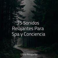 35 Sonidos Relajantes Para Spa y Conciencia