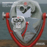 Magnified, Pt. 5