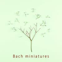 Bach miniatures