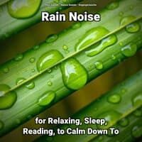 Rain Noise for Relaxing, Sleep, Reading, to Calm Down To