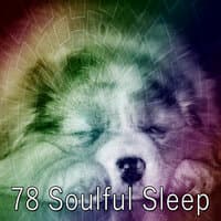 78 Soulful Sleep