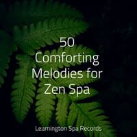 50 Comforting Melodies for Zen Spa