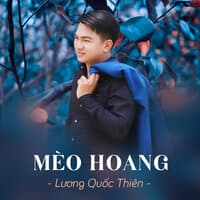 Mèo Hoang