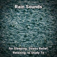 Rain Sounds for Sleeping, Stress Relief, Relaxing, to Study To