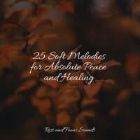 25 Soft Melodies for Absolute Peace and Healing