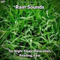 #01 Rain Sounds for Night Sleep, Relaxation, Reading, Fear