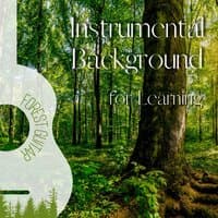 Instrumental Background for Learning