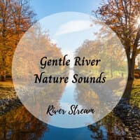 River Stream: Gentle River Nature Sounds