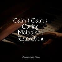 Calm & Calm & Caring Melodies | Relaxation