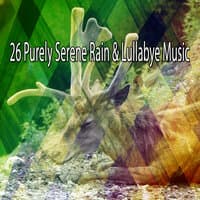 26 Purely Serene Rain & Lullabye Music