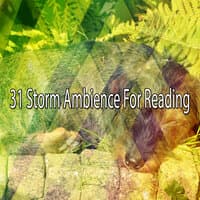 31 Storm Ambience For Reading