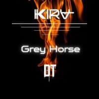 Gray Horse