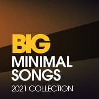 Big Minimal Songs 2021 Collection